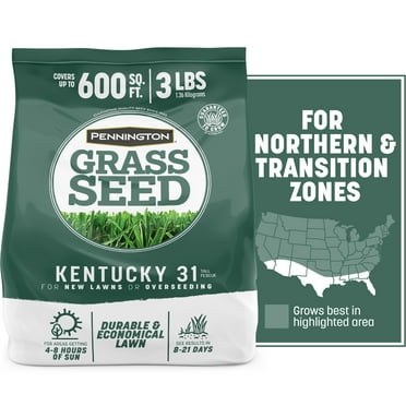 Pennington Kentucky 31 Tall Fescue Grass Seed, for Sun to Partial Shade, 3 lb., 1 Bag