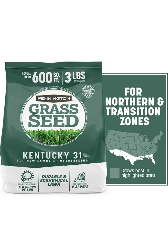 Kentucky 31 Tall Fescue Grass Seeds for Lawn, for Sun to Partial Shade, 3 lb