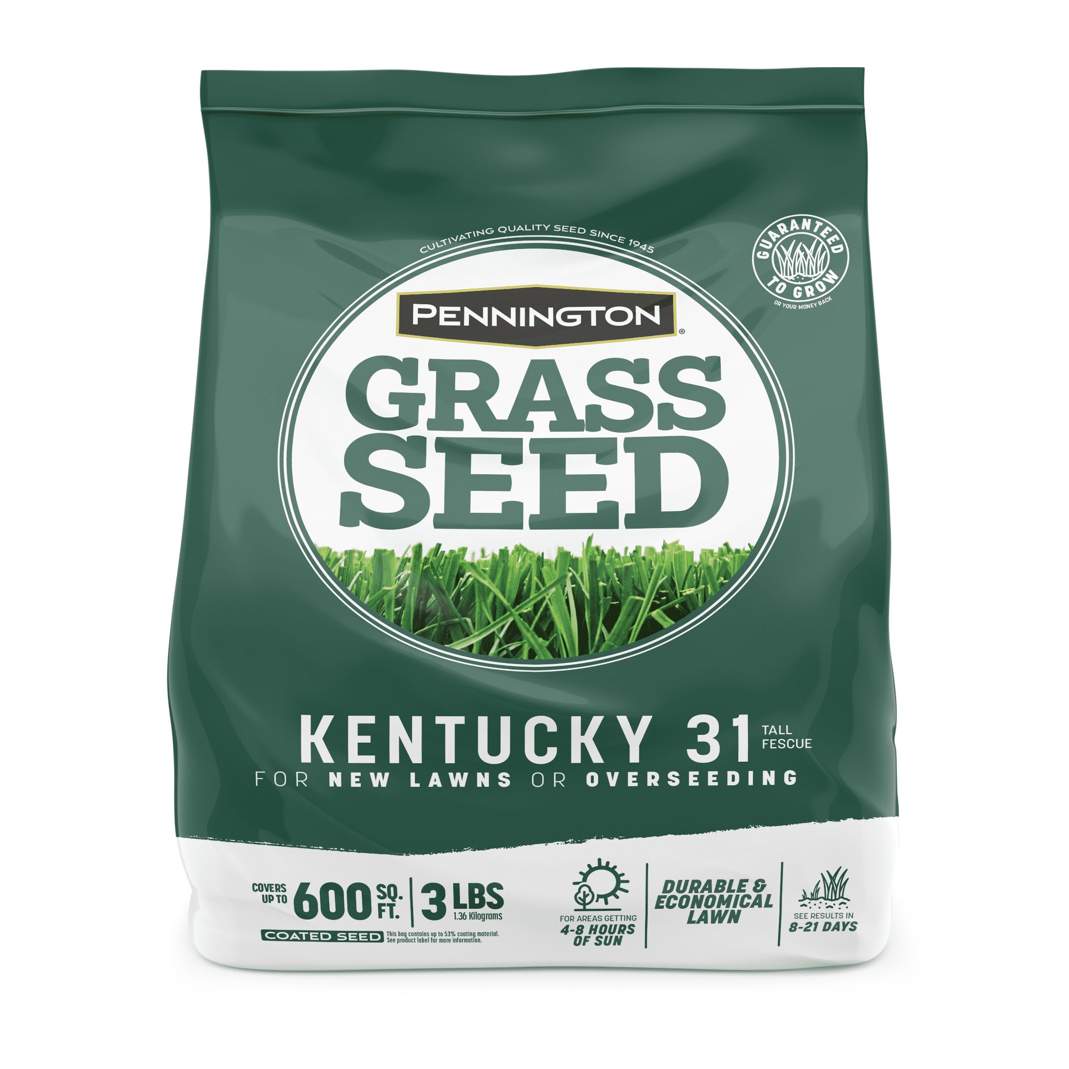 Pennington Kentucky 31 Tall Fescue Grass Seed, for Sun to Partial Shade