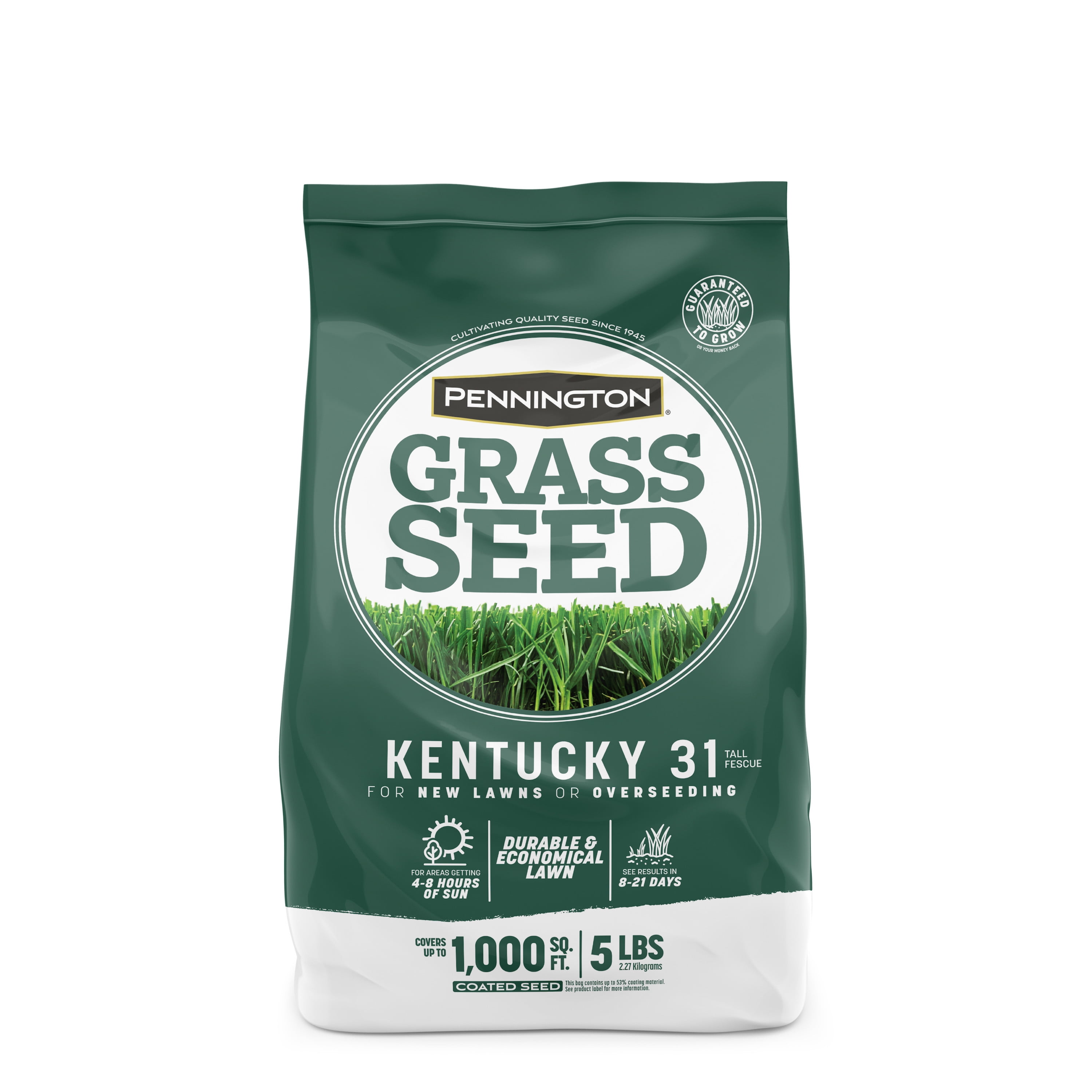 Pennington Kentucky 31 Tall Fescue Grass Seed, for Sun to