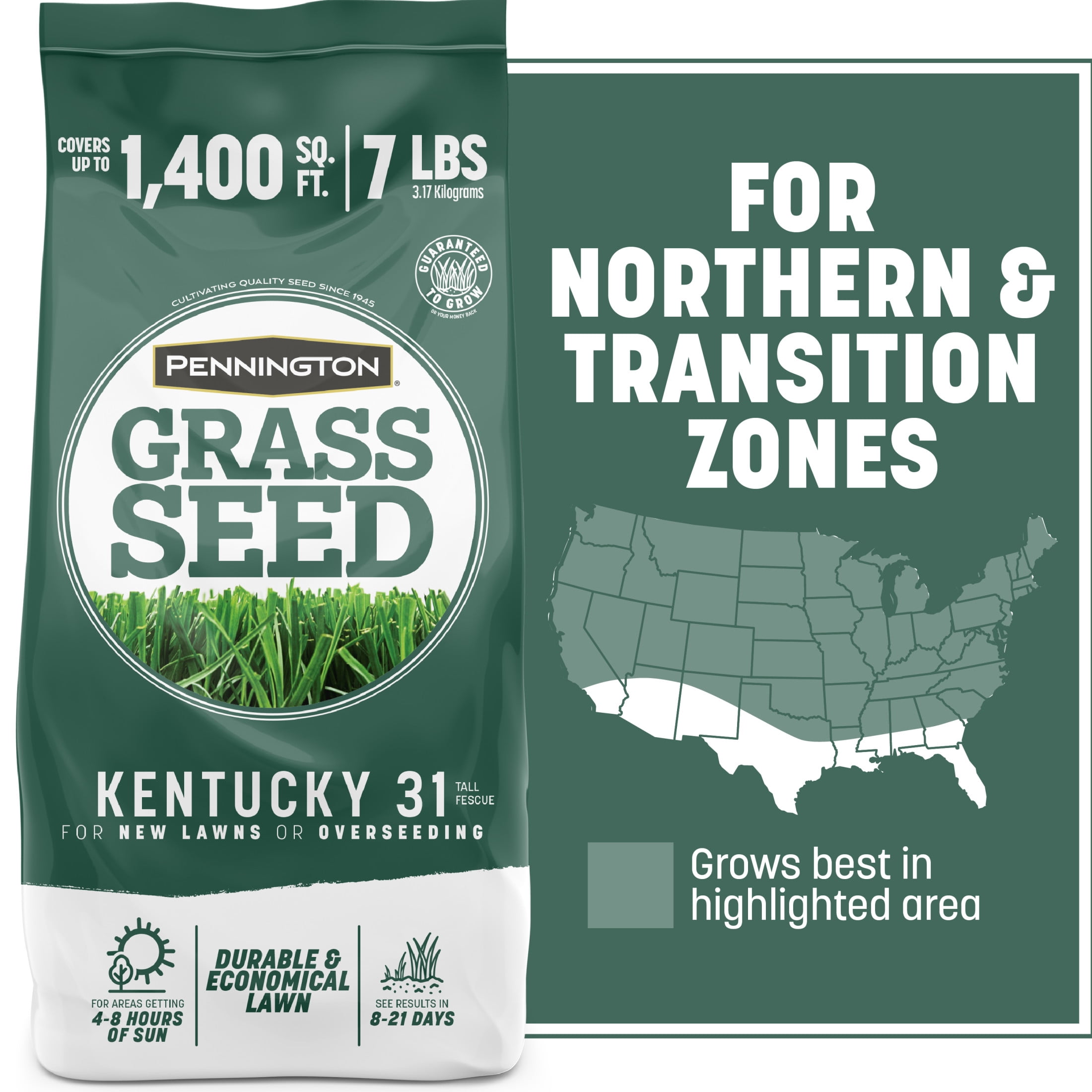Pennington Kentucky 31 Tall Fescue Grass Seed, for Sun to