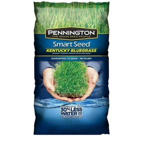 Pennington Kentucky Blue Grass Seed, 3 lbs