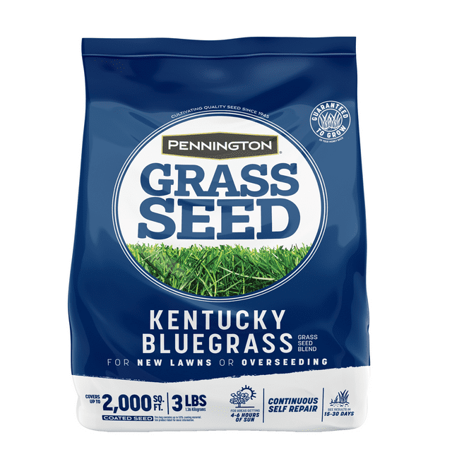 Pennington Kentucky Bluegrass Northern Grass Seed Mix, Sun Light to