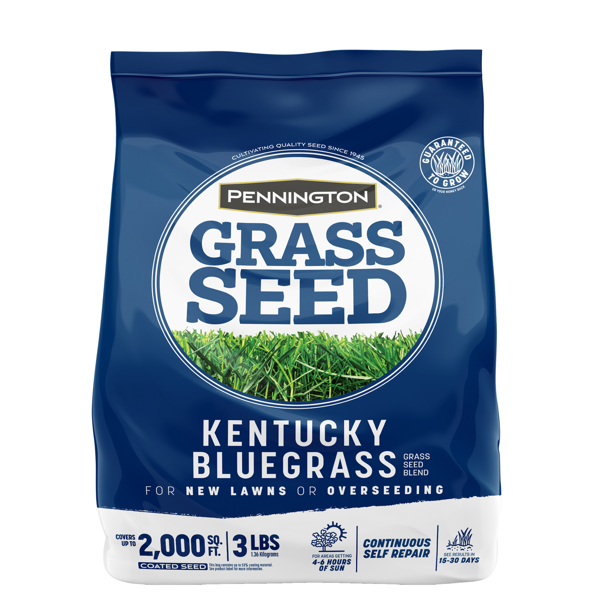Pennington Kentucky Bluegrass Northern Grass Seed Mix, for Sun to