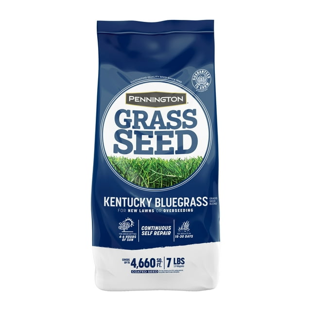 Pennington Kentucky Bluegrass Northern Grass Seed Mix, for Sun to