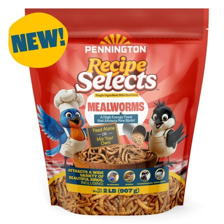 Pennington Recipe Selects Dried Mealworms for Birds, Bluebird and Wild Bird Food for Outside Feeder, 2 lb. Bag, 1 Pack