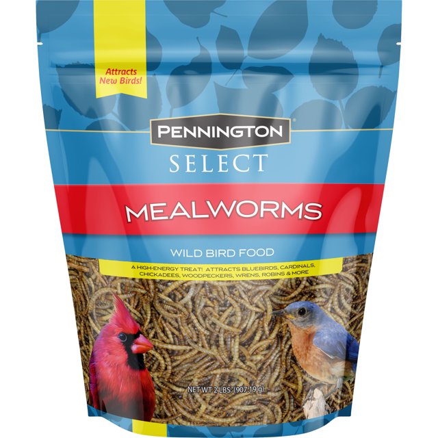 Pennington Mealworms, Bluebird and Wild Bird Food, 2 lb. Bag, 1 Pack