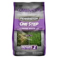 Pennington One Step Complete Dense Shade Patch & Repair Grass Seed Mix, Partial to Full Shade, 5 lb.