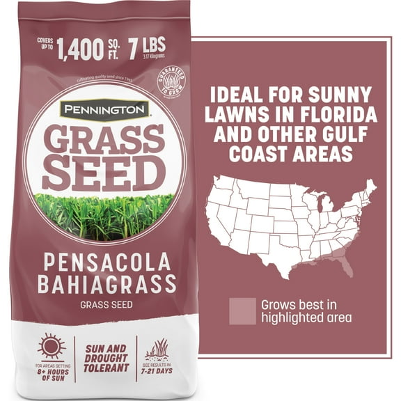 Pennington Pensacola Bahiagrass Grass Seed, Full Sun, 7 lb, 1 New Bag