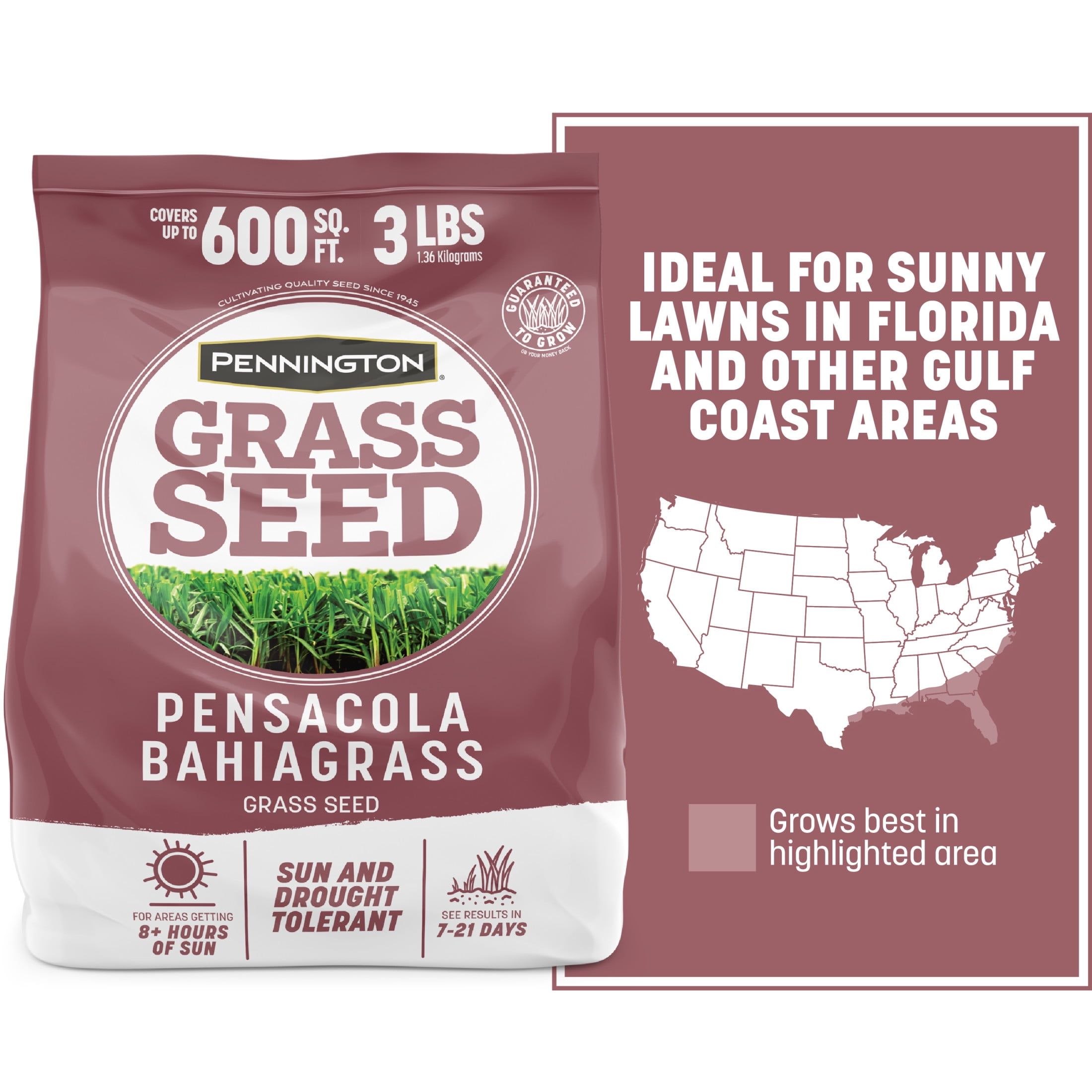 Pennington Pensacola Bahiagrass Full Sun Grass Seed 3 lb