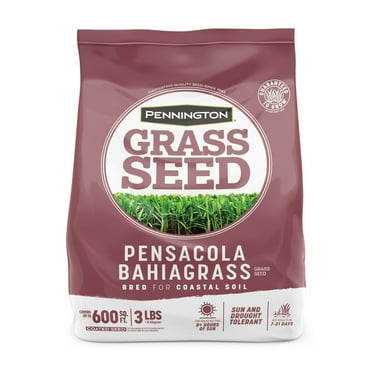 Pennington Pensacola Bahiagrass Grass Seed, for Full Sun, 3 lb.