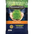 thumbnail image 1 of Pennington Premium Blend Bermuda Grass, 1 lb., 1 of 2