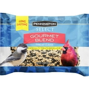 Pennington Premium Gourmet Wild Bird Seed Cake, Bird Food, 2 lb, 1 Pack, Dry