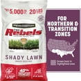thumbnail image 1 of Pennington The Rebels Tall Fescue Shady Grass Seed mix 20 lb, 1 of 17