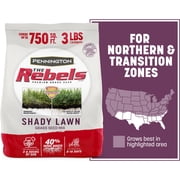 Pennington Rebels Shady Lawn Grass Seeds Mix, Tall Fescue Grass Seeds for Lawn, Moderate to Heavy Shade, 3 lb