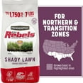thumbnail image 1 of Pennington Rebels Shady Lawn Grass Seeds Mix, for Moderate to Heavy Shade, 7 lb., 1 of 16