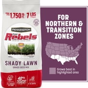 Pennington Rebels Shady Lawn Grass Seeds Mix, Tall Fescue Grass Seeds for Lawn, Moderate to Heavy Shade, 7 lb