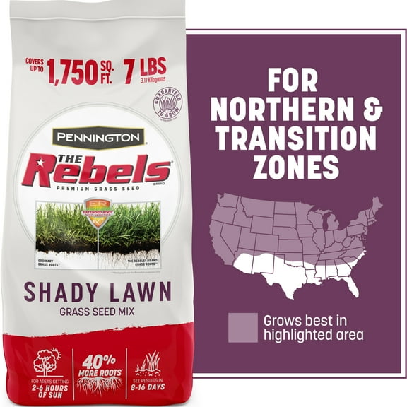 Pennington Rebels Shady Lawn Grass Seeds Mix, for Moderate to Heavy Shade, 7 lb.