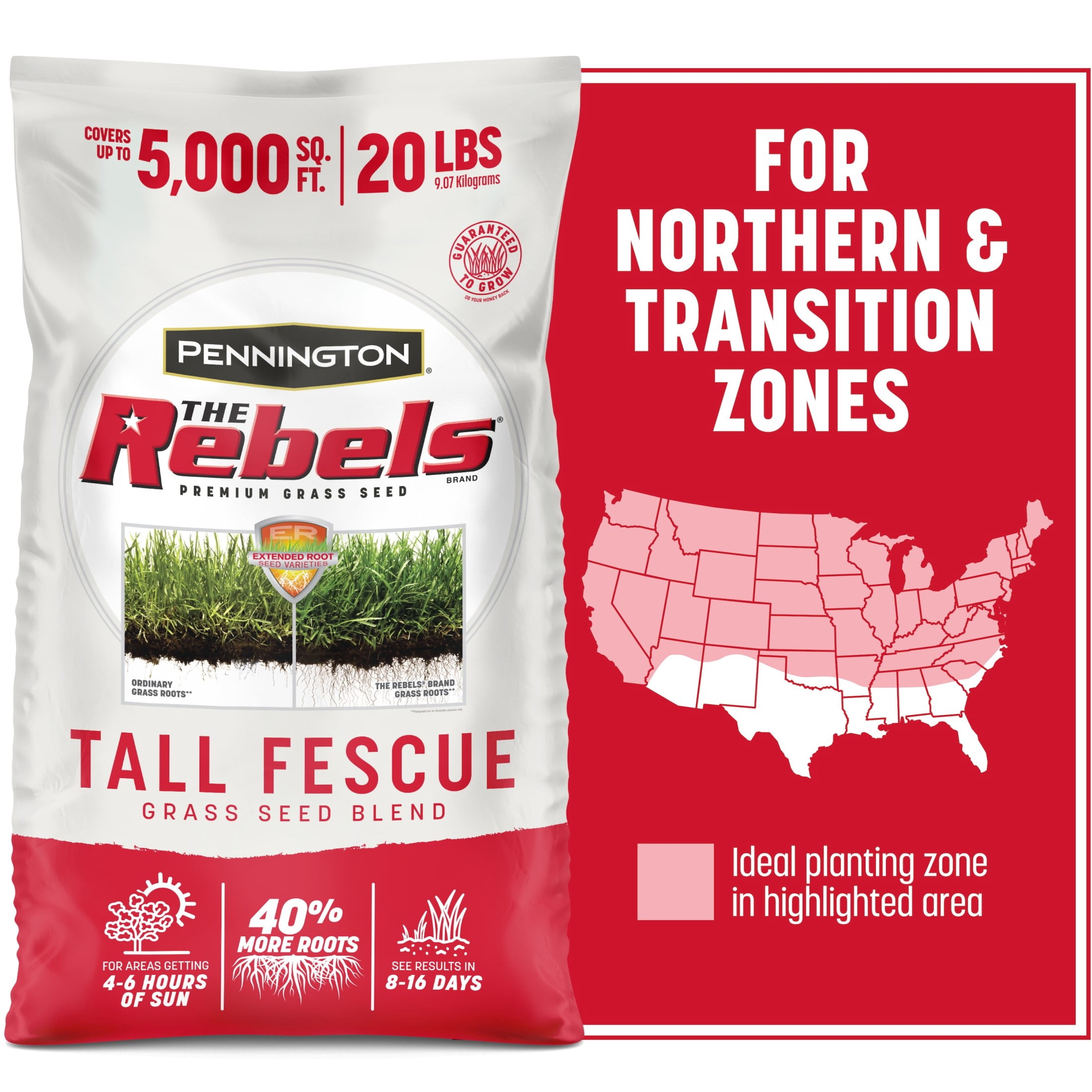 ハーブ ヘラス プレミアム Pennington-Rebels-Tall-Fescue-