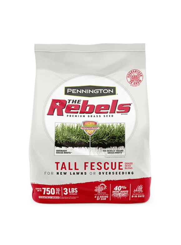 Fescue Grass Seeds in Grass Seed & Sod