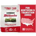 thumbnail image 1 of Pennington Rebels Tall Fescue Grass Seed, for Sun to Partial Shade, 3 lb., 1 of 16