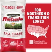 Pennington Rebels Tall Fescue Grass Seeds for Lawn, for Sun to Partial Shade, 40 lb