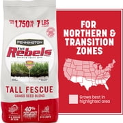 Pennington Rebels Tall Fescue Grass Seeds for Lawn, for Sun to Partial Shade, 7 lb