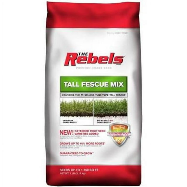 Pennington Rebels Tall Fescue Grass Seed, for Sun to Partial Shade, 7