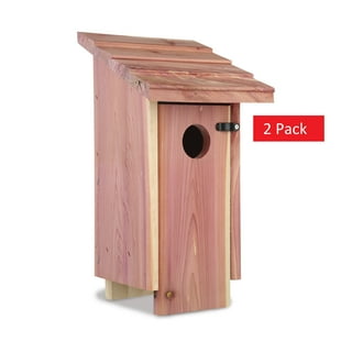 https://i5.walmartimages.com/seo/Pennington-Red-Cedar-Bluebird-Wild-Bird-House-2-Pack_f34f7360-8a07-42ee-bde0-ff2a69dee3aa.f4a9dab7b275bcbb64ca1299aaf20d2f.jpeg?odnHeight=320&odnWidth=320&odnBg=FFFFFF