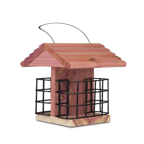 Pennington Red Cedar Suet Station Wild Bird Feeder, Holds 2 Suet Cakes