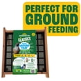 thumbnail image 1 of Pennington Red Cedar Wild Bird Ground Feeder, 12" Square, with Legs, Wild Bird Feeders, 1 of 13