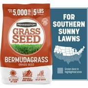 Pennington Sahara Bermudagrass, Southern Bermuda Grass Seeds for Lawn, Full Sun, 5 lb.