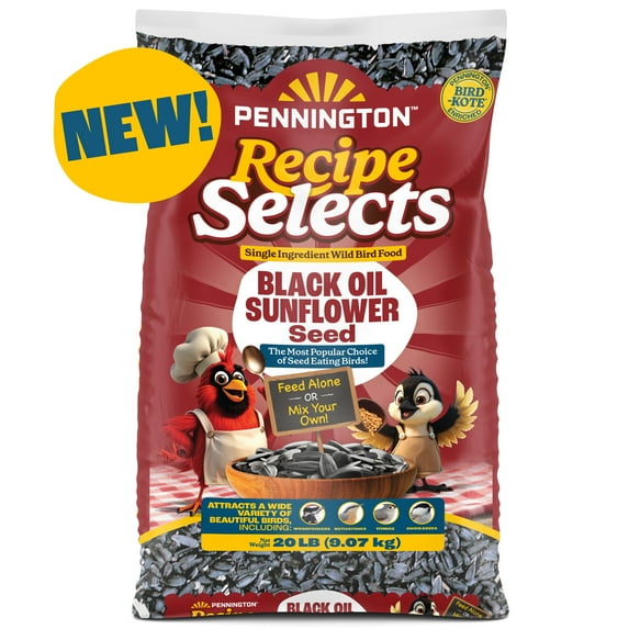 Pennington Recipe Selects Black Oil Sunflower Seed Dry Wild Bird Feed, Bird Food, 20 lb. Bag, 1 Pack