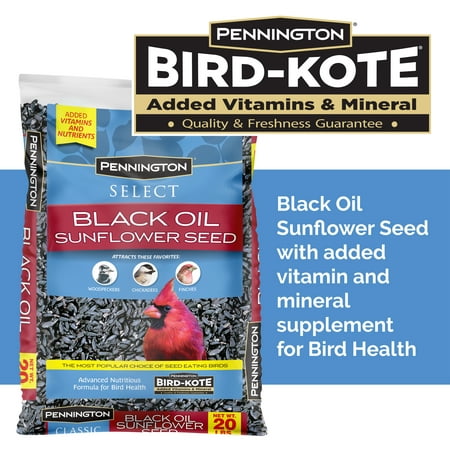 Pennington Select Black Oil Sunflower Seed Dry Wild Bird Feed, 20 lb.  Bag, 1 Pack