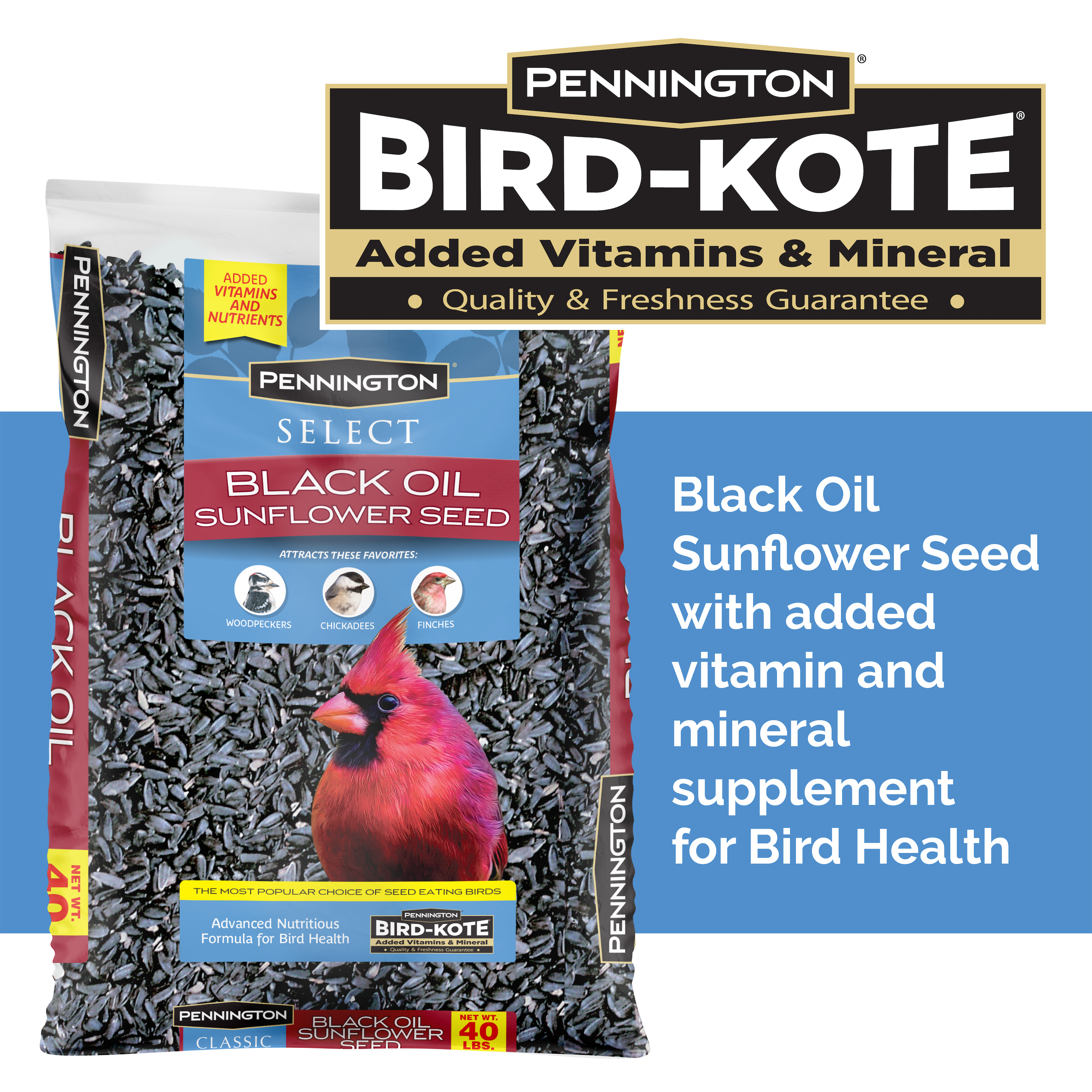 Pennington Select Black Oil Sunflower Seed Dry Wild Bird Feed, 40 lb. Bag, 1 Pack - image 1 of 11