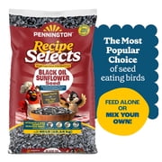 Pennington Recipe Selects Black Oil Sunflower Seed Dry Wild Bird Feed, Bird Food, 40 lb. Bag, 1 Pack