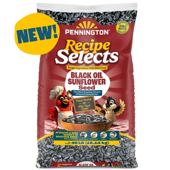 Pennington Recipe Selects Black Oil Sunflower Seed Dry Wild Bird Feed, Bird Food, 40 lb. Bag, 1 Pack