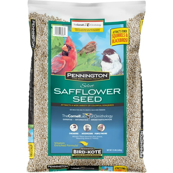 Pennington Recipe Selects Safflower Seed, Dry Wild Bird Food and Seed, 15 lb. Bag, 1 Pack