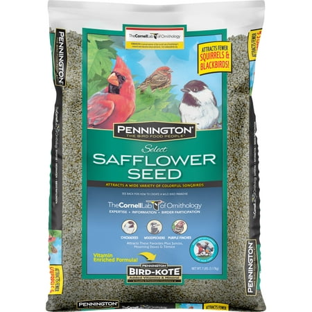 Pennington Select Safflower Seed, Wild Bird Feed and Seed, 7 lb. Bag, 1 Pack, Dry