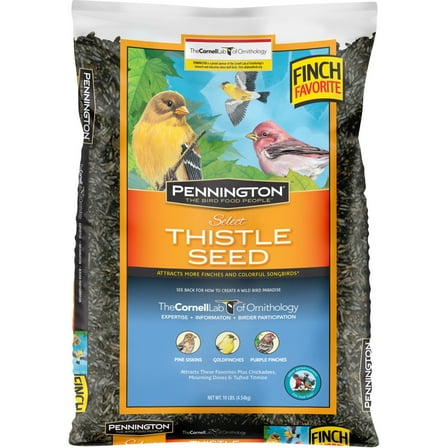 Pennington Recipe Selects Thistle Seed, Dry Wild Bird Feed and Seed, 10 lb. Bag, 1 Pack