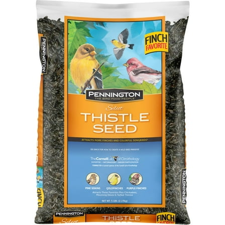 Pennington Recipe Selects Thistle Seed, Dry Wild Bird Feed and Seed, 5 lb. Bag, 1 Pack