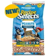 Pennington Recipe Selects Shelled Peanuts for Birds and Wildlife, Wild Bird Food, 5 lb Bag, 1 Pack, Dry