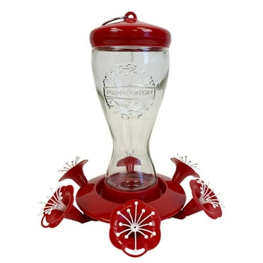 Pennington Sipper Glass Bottle Red Hummingbird Feeder, 28 oz Nectar Capacity
