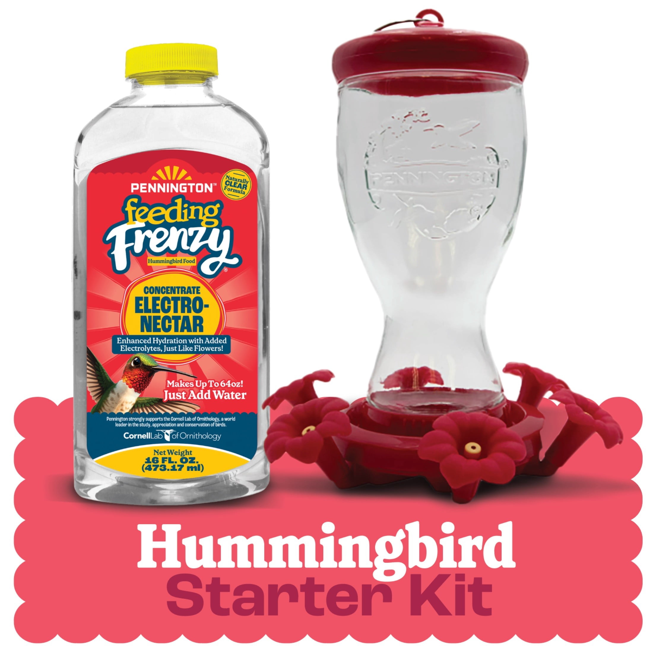 Pennington Hummingbird Feeder Starter Kit