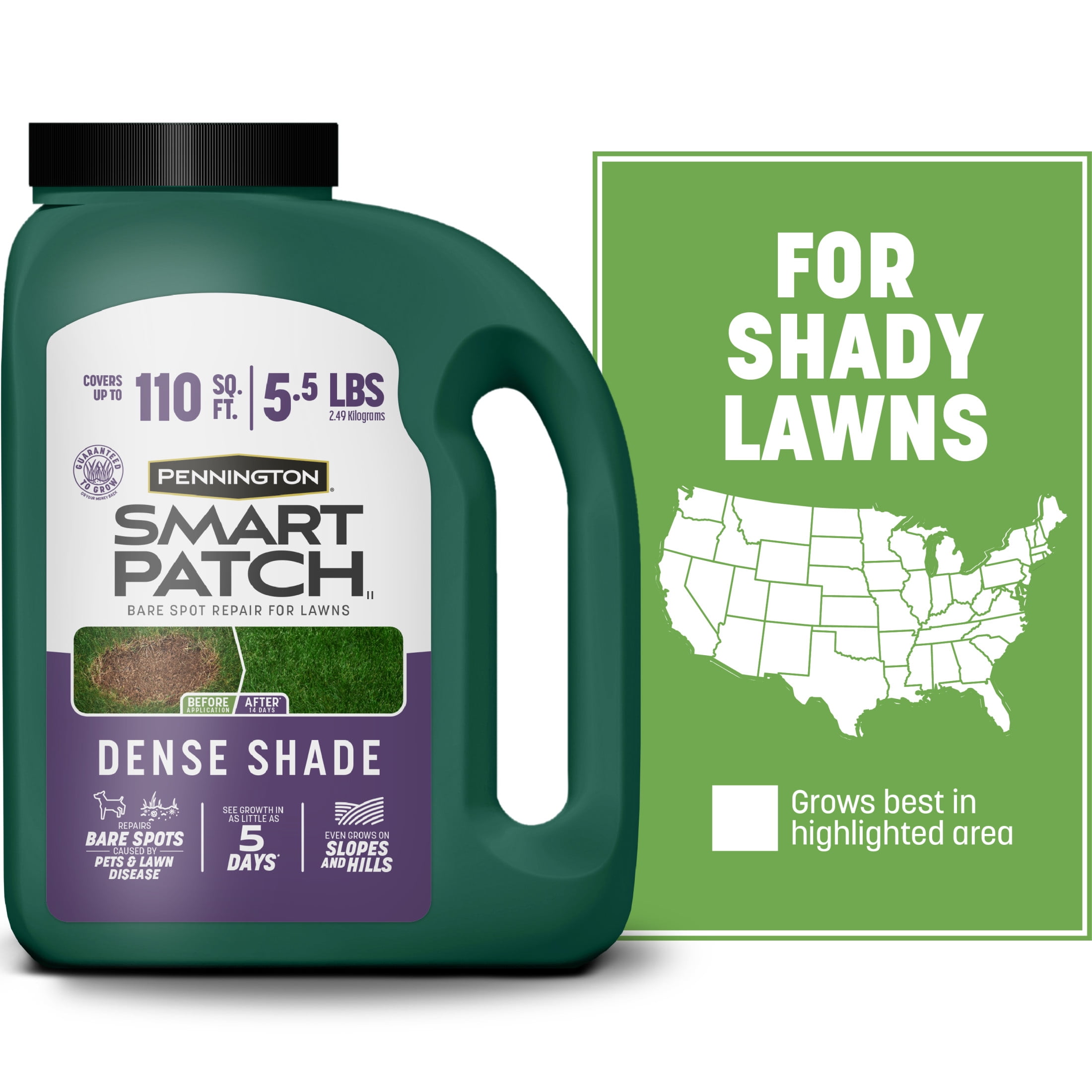 Pennington Smart Patch Dense Shade Grass Seed Mix, Tall Fescue Grass Seeds for Lawn, for Partial to Full Shade, 5.5 lb.