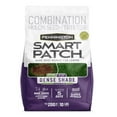 thumbnail image 1 of Pennington Smart Patch Seed Fertilizer Mulch Repair Kit, Full Shade, 1 of 8