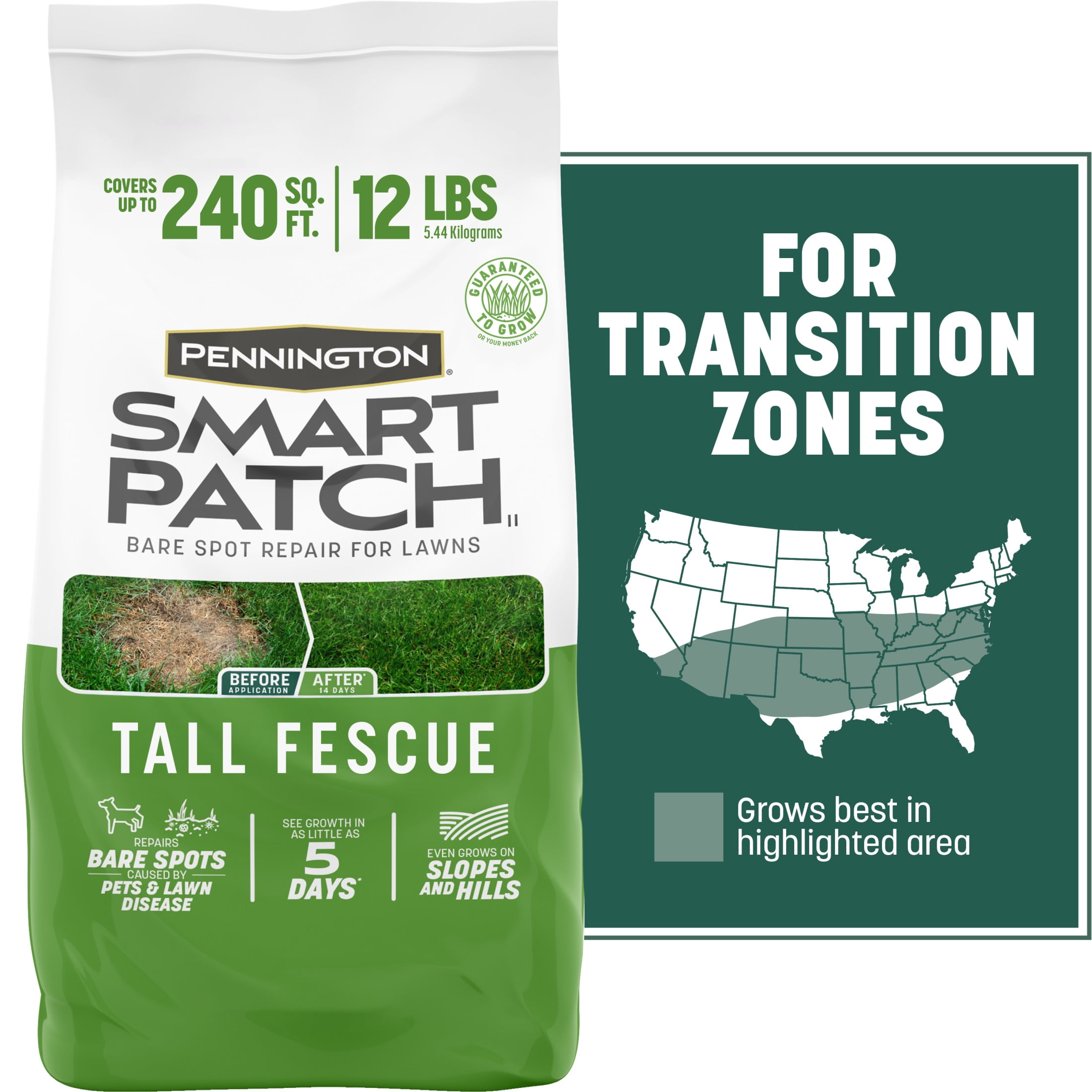 Pennington Smart Patch Tall Fescue Grass Seed Mix, for Sun to Partial Shade, 12 lb. Bonus Size