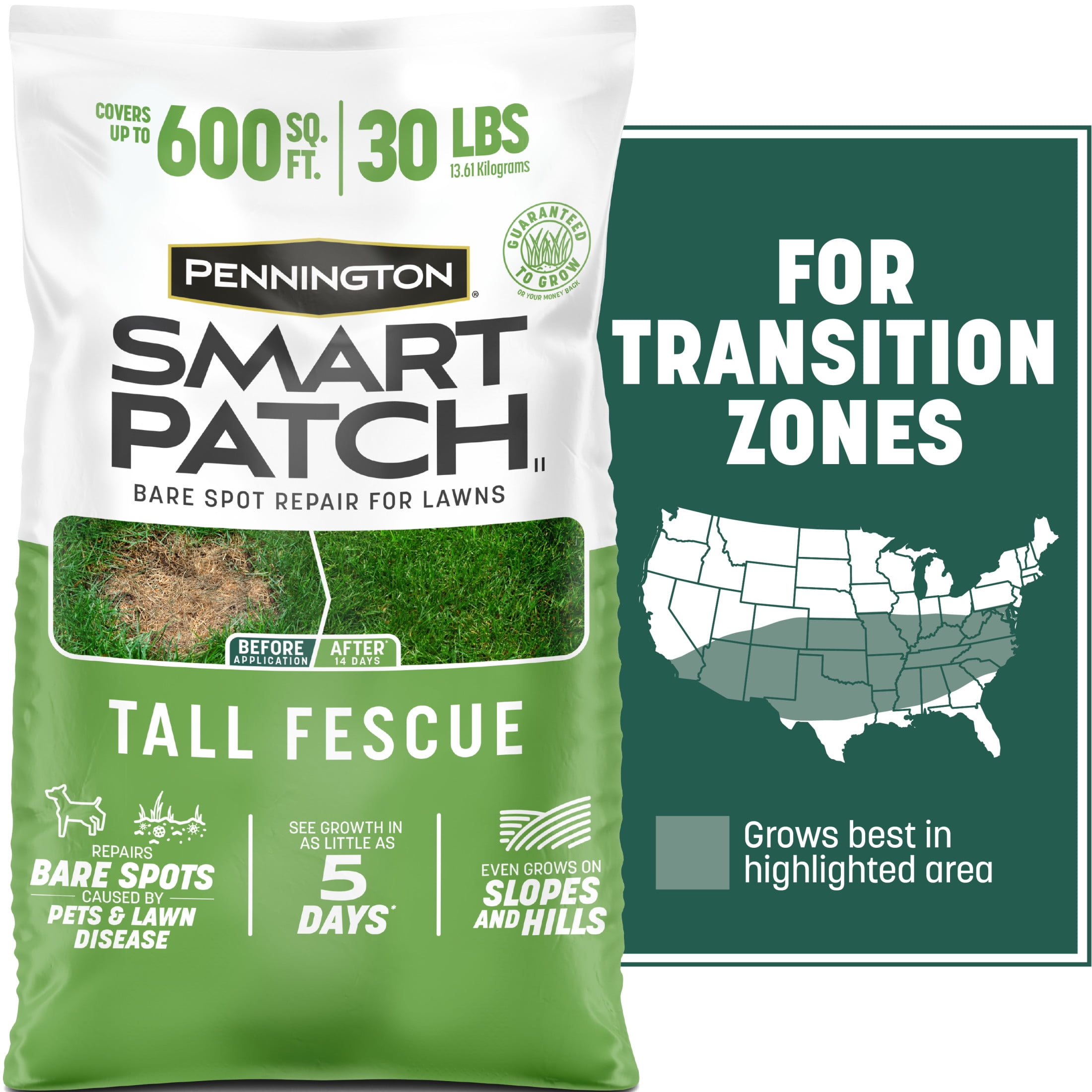 Pennington Smart Patch Tall Fescue Grass Seed Mix for Sun to