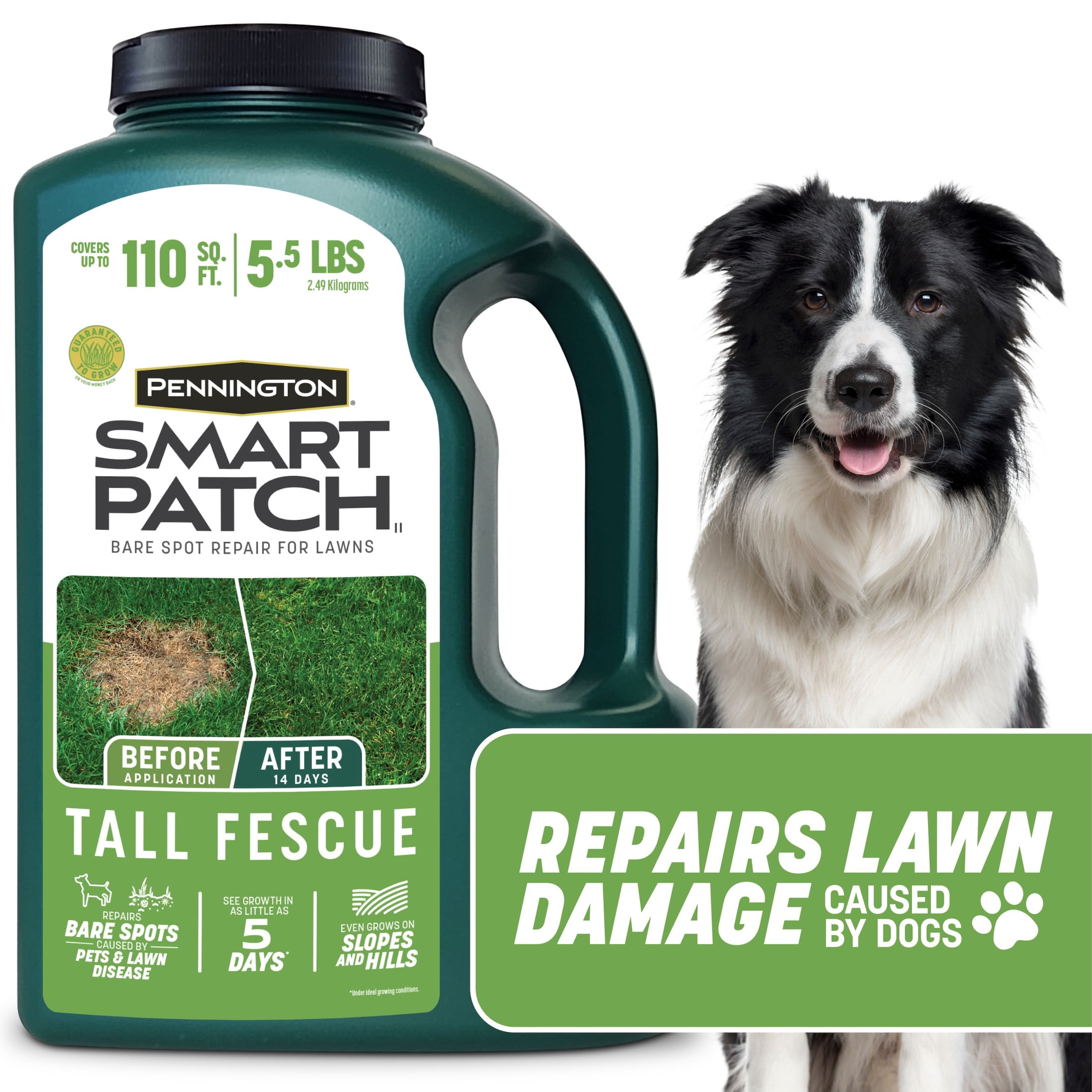 Pennington Smart Patch Tall Fescue Grass Seeds for Lawn, Grass Seed Mix, for Sun to Partial Shade, 5.5 lb.