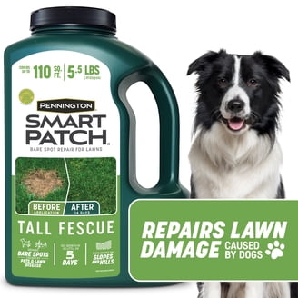 Pennington Pennington Smart Patch Zoysia Grass Seeds for Lawn, Full Sun, 5 lb New ...